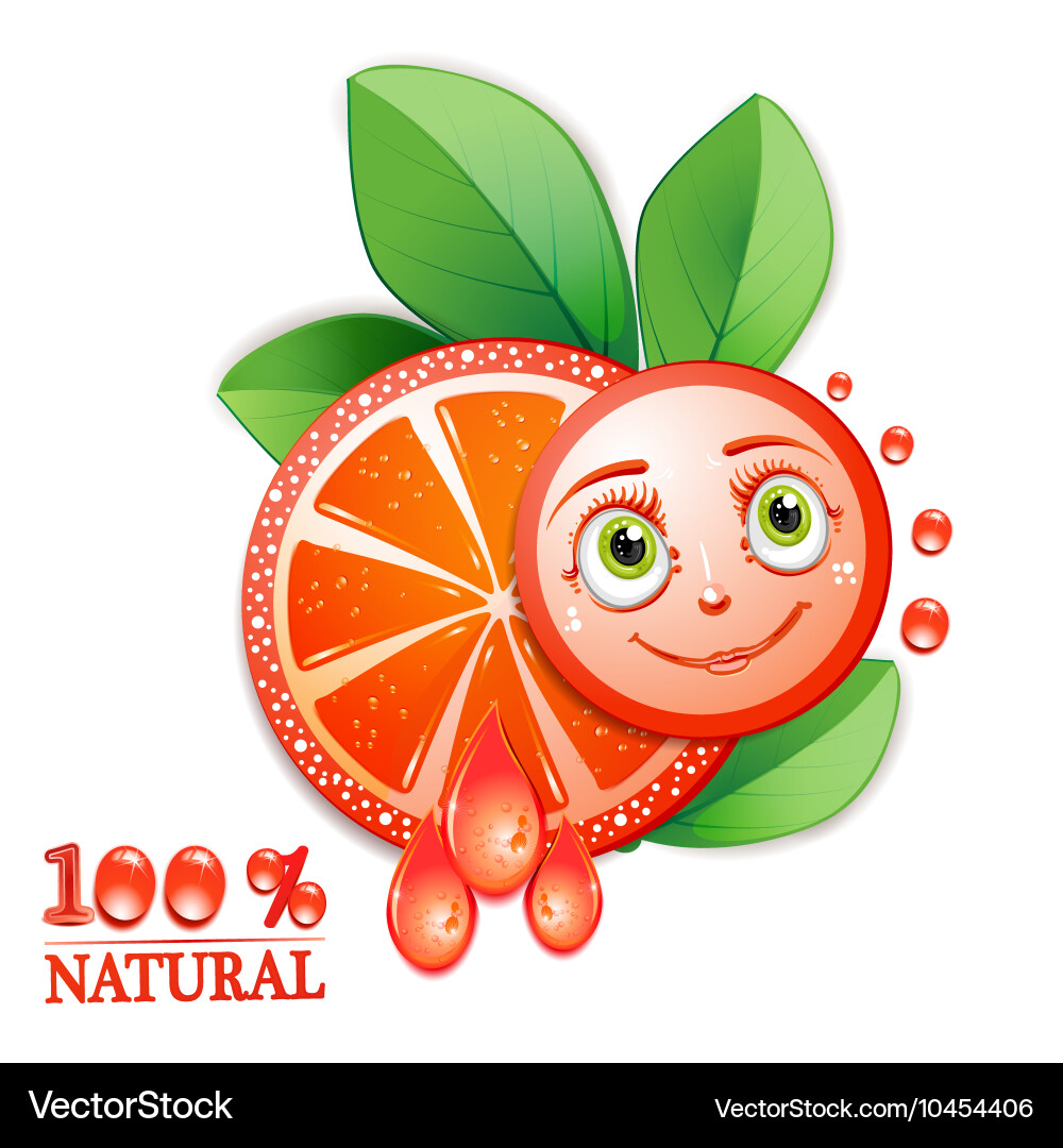 Slice of grapefruit with leafs and a smiley face Vector Image