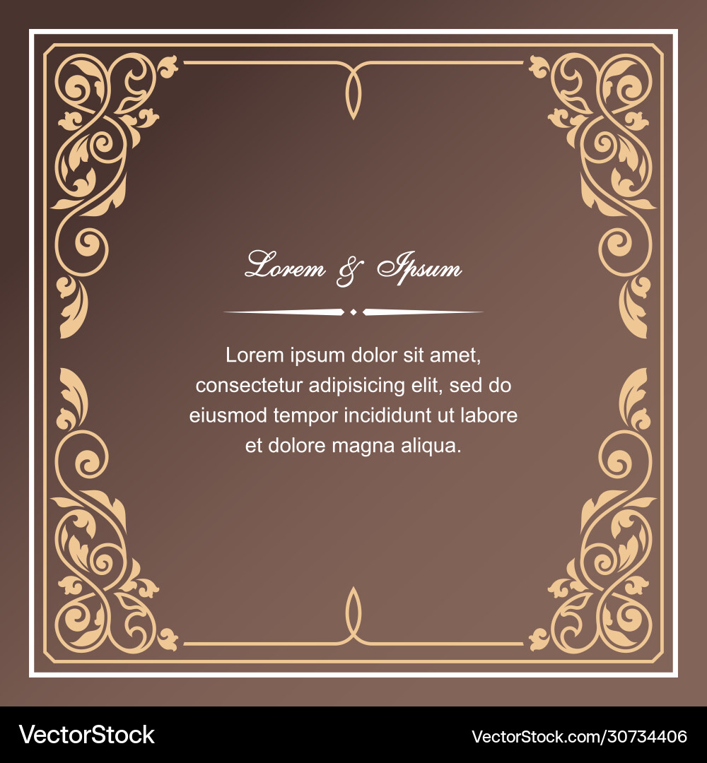 Vintage invitation card template for greeting Vector Image
