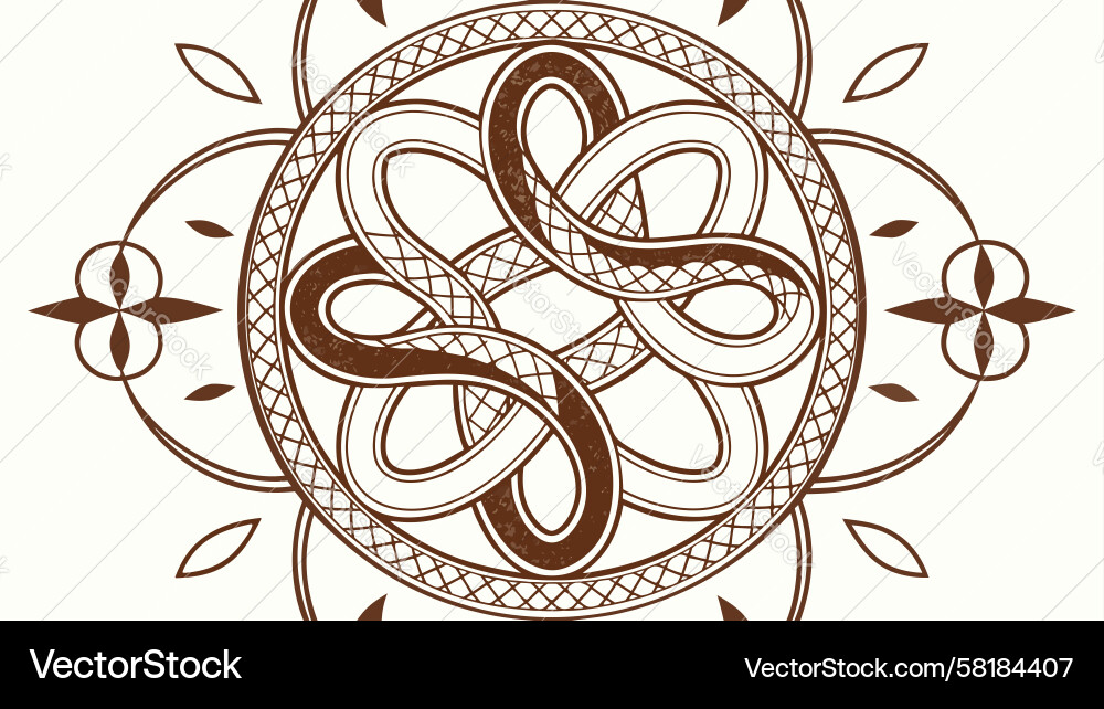 Coiled Snake Abstract Pattern Vector Image