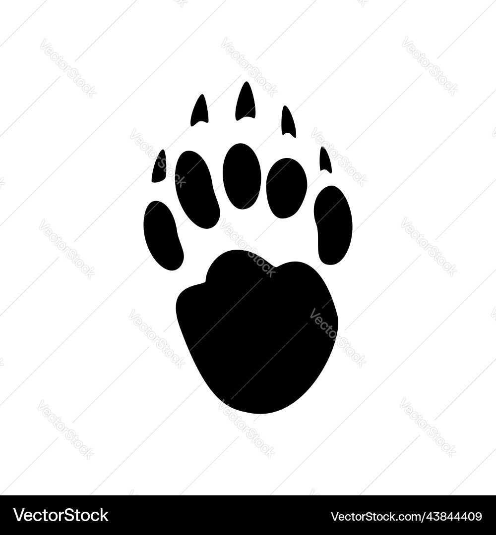 Bear Footprints in Snow vector image