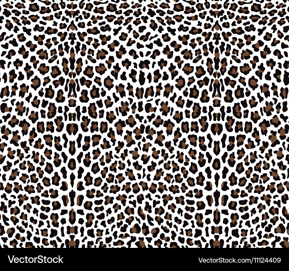 Seamless leopard pattern vector image