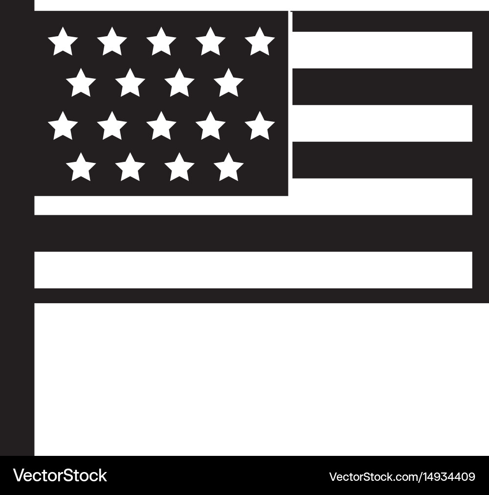 United States Flag Vector Image