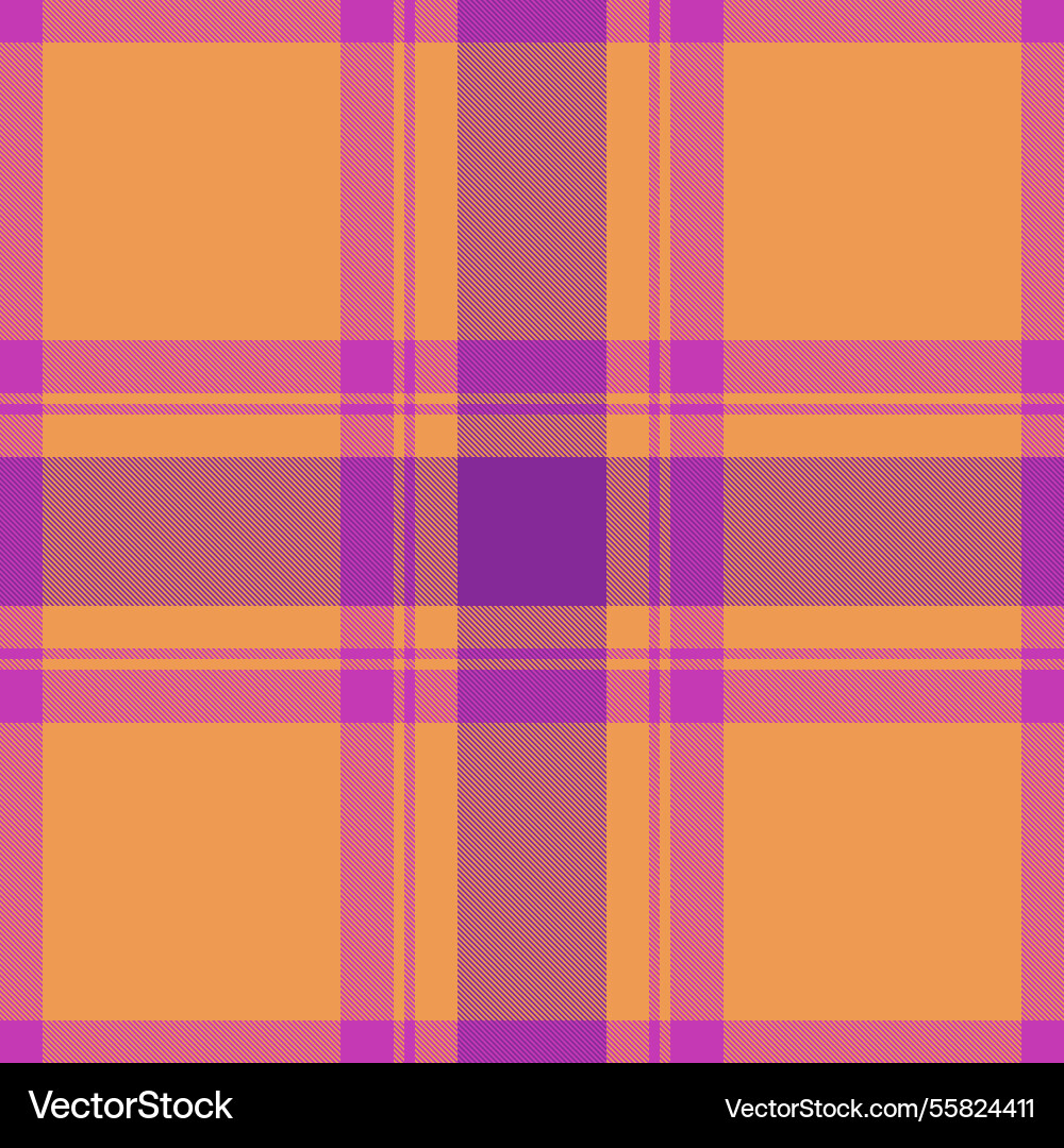 Front background pattern texture clan textile Vector Image