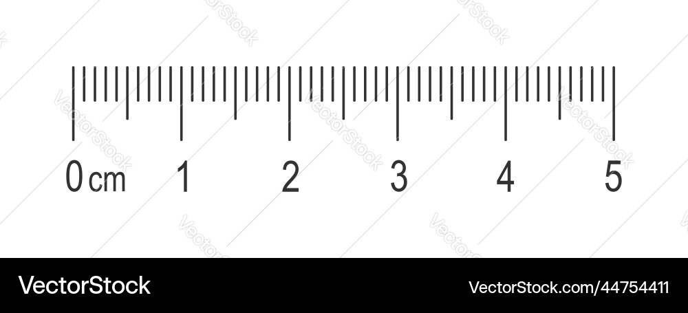 Scale of 5 centimeters ruler with markup Vector Image