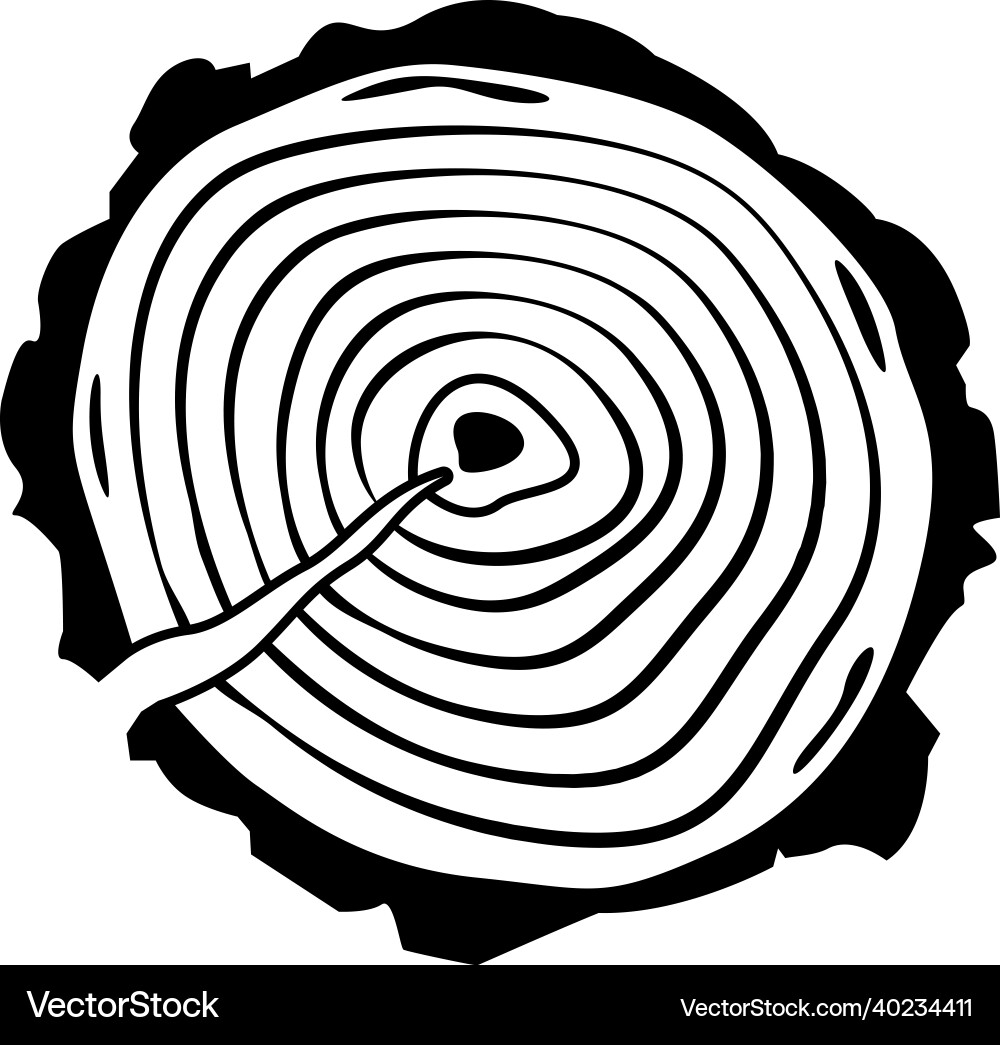 Tree trunk profile composition vector image