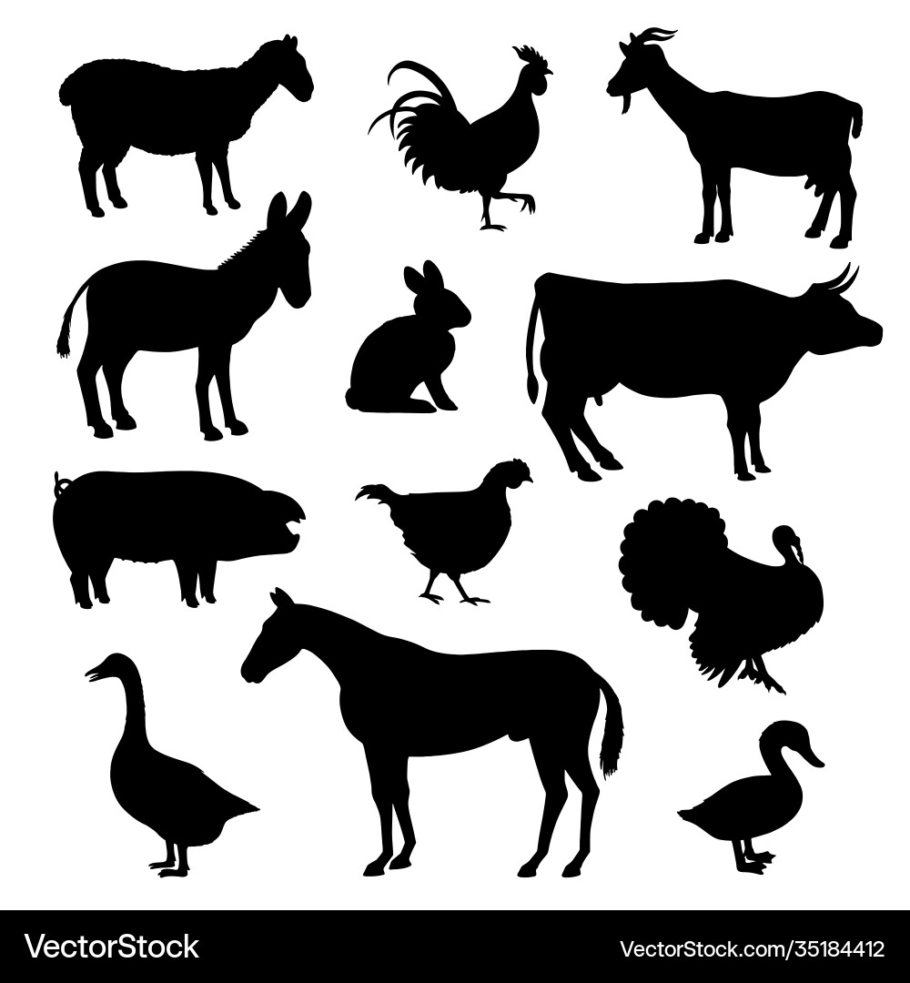Farm Animal Silhouettes - Birds & Livestock Vector Image
