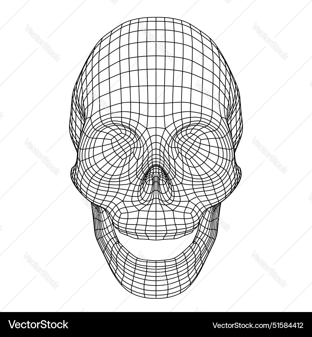 Polygon mesh or wireframe human skull with open Polygon mesh or wireframe human skull with open vector image