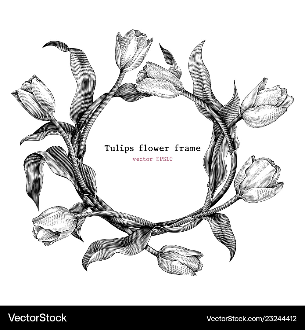 Tulpen Rahmen Hand Zeichnung Vintage Clip Kunst Tulpen Rahmen Hand Zeichnung Vintage Clip Kunst vektorbild