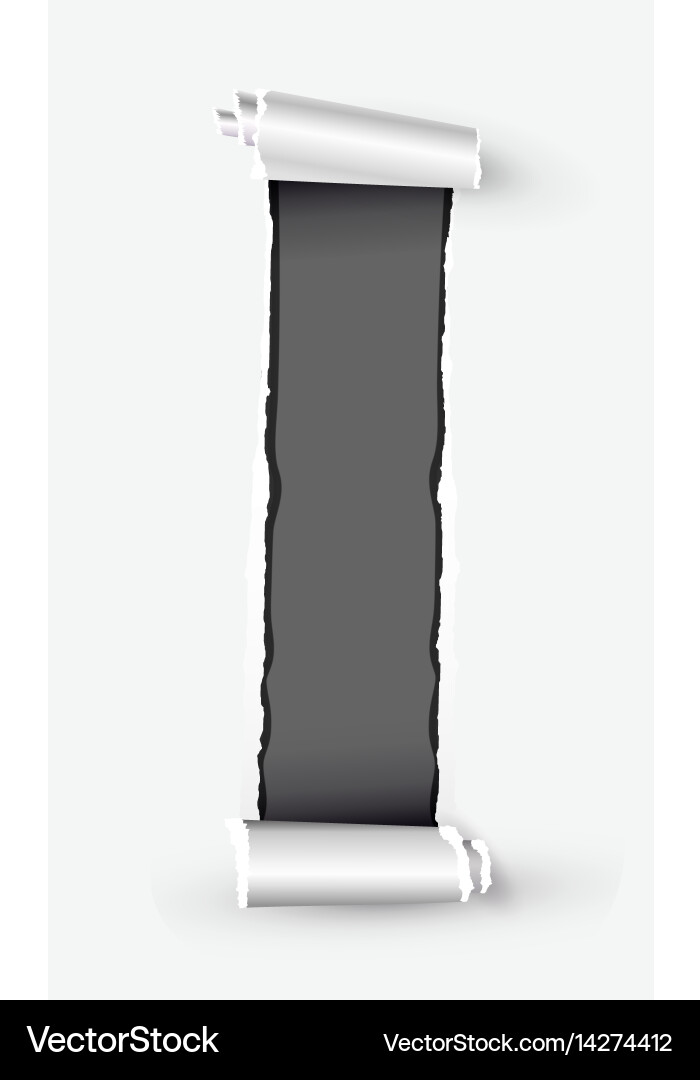 White torn paper scroll with space for text vector image