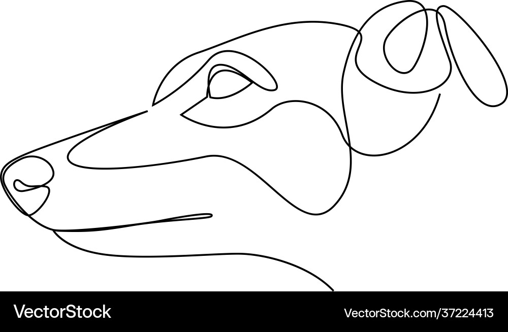 Continuous line whippet single minimal style Continuous line whippet single minimal style vector image