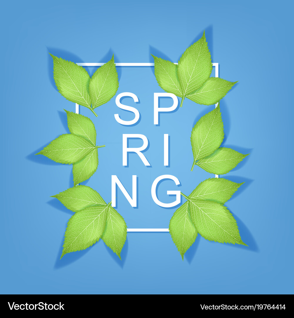 Spring text with realistic green leaves and frame Vector Image