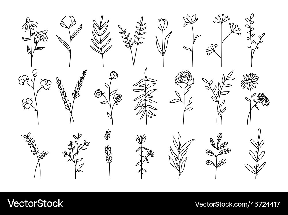 Minimalist doodle flower branches botanical Minimalist doodle flower branches botanical vector image