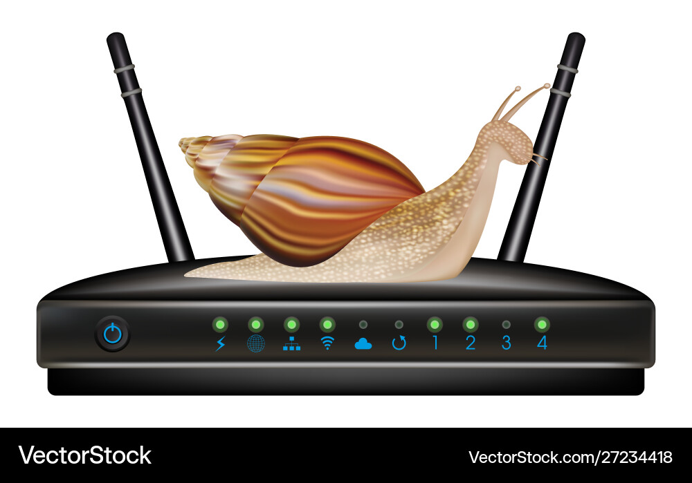 Slow speed router with snail Vector Image