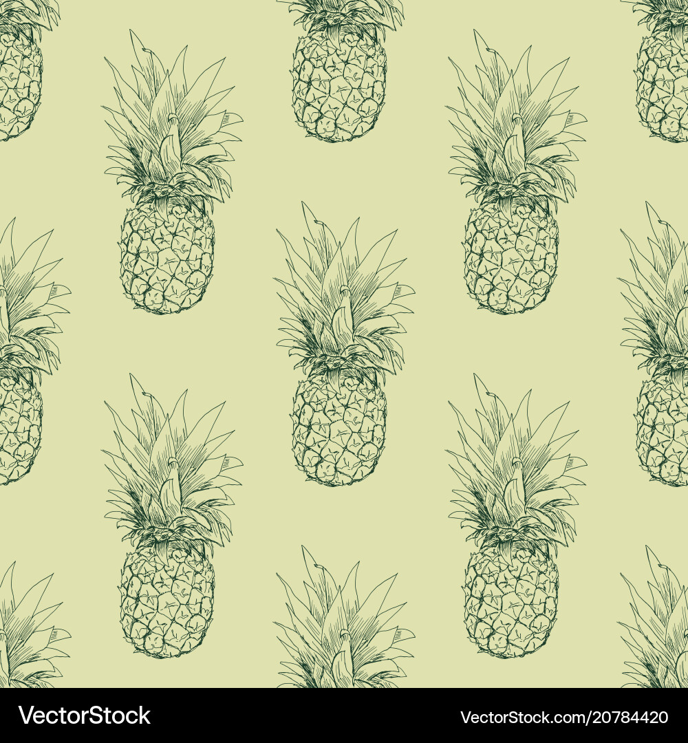 Pineapple sketch seamless pattern vector image