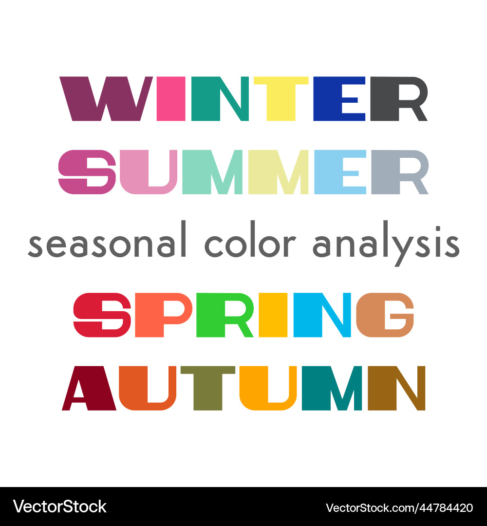 Seasonal color analysis palettes vector image