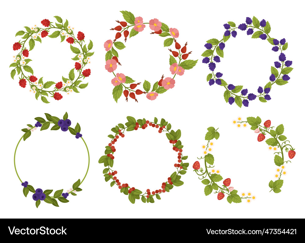 Delightful set of frames adorned with vibrant Vector Image
