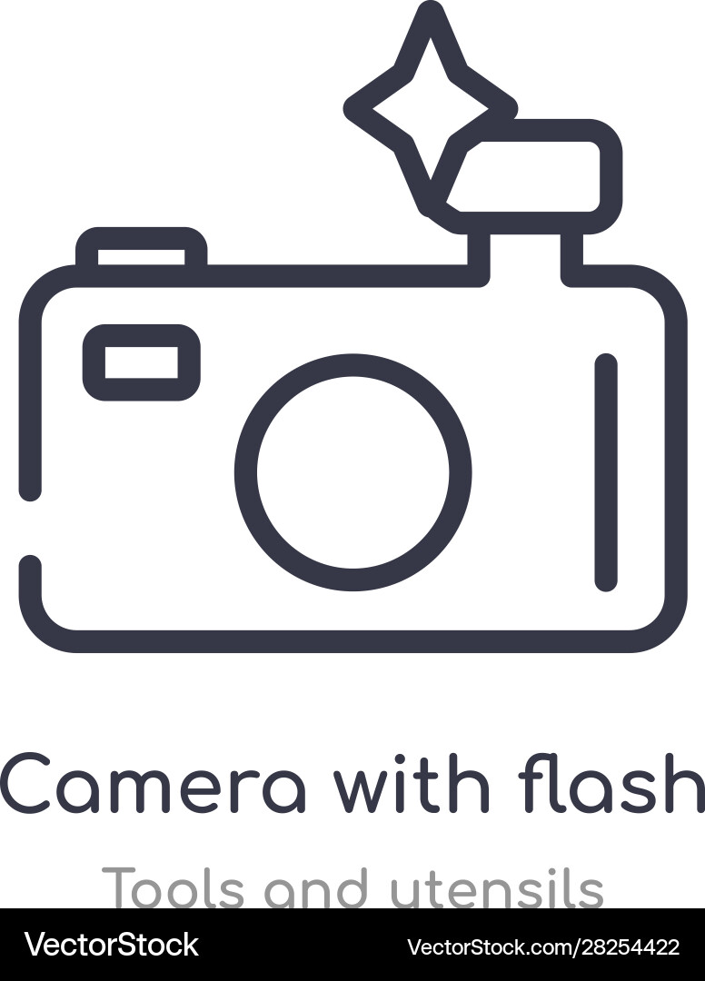 Camera with flash outline icon isolated line from vector image