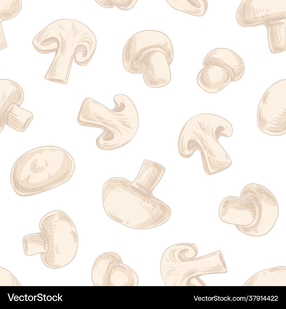 Seamless pattern with champignon slices on white Seamless pattern with champignon slices on white vector image