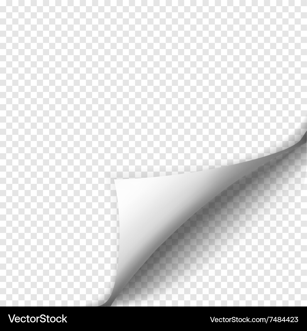 Page curl with shadow on blank sheet of paper vector image