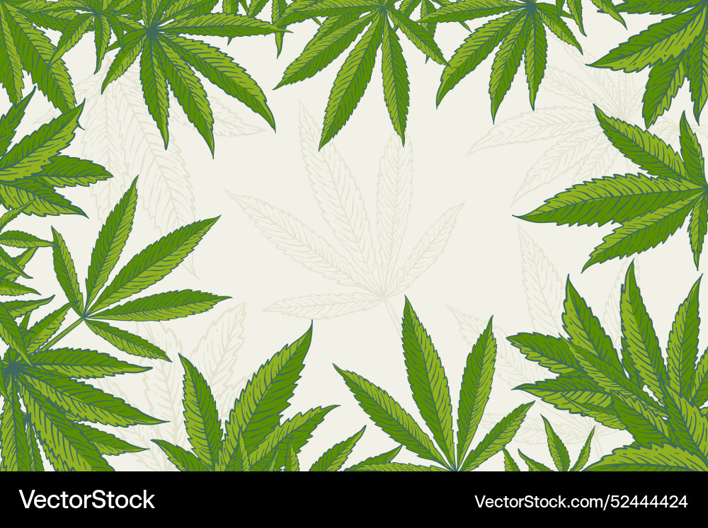 Botanical cannabis leaf background Royalty Free Vector Image