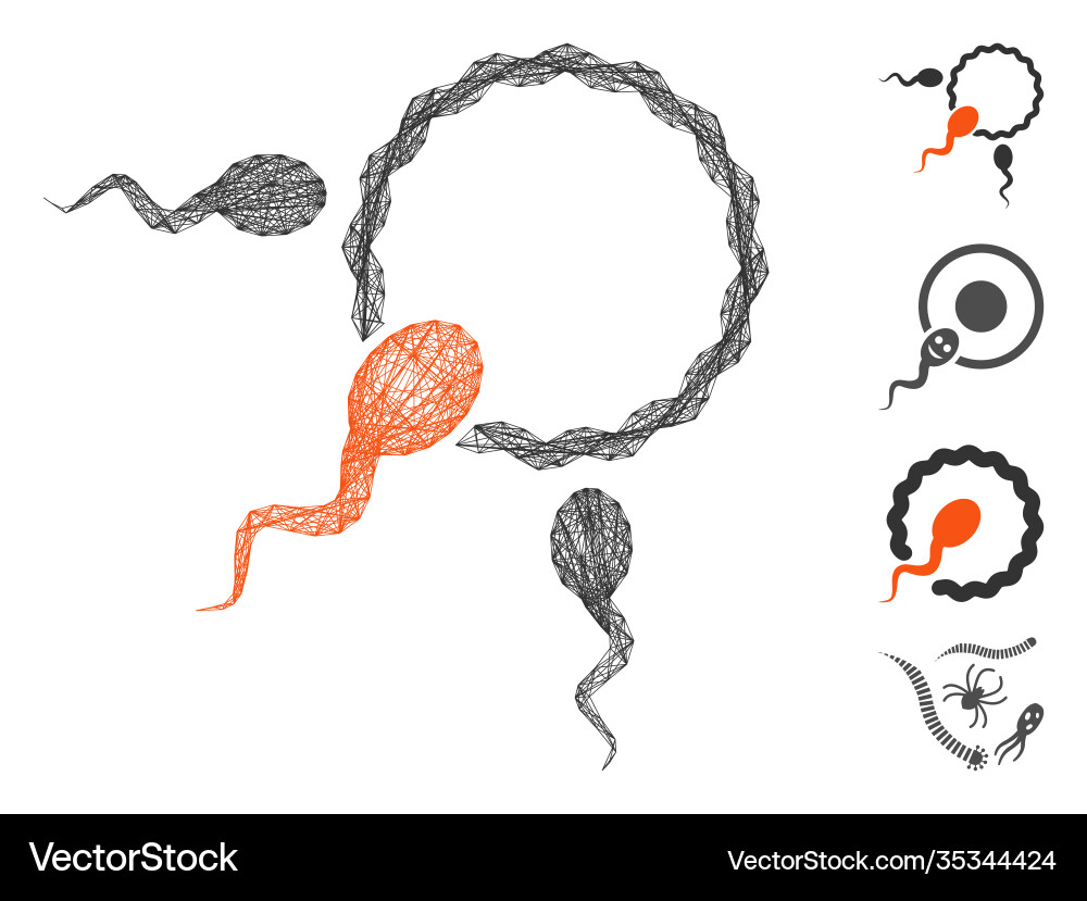 Linear fertilization mesh Linear fertilization mesh vector image