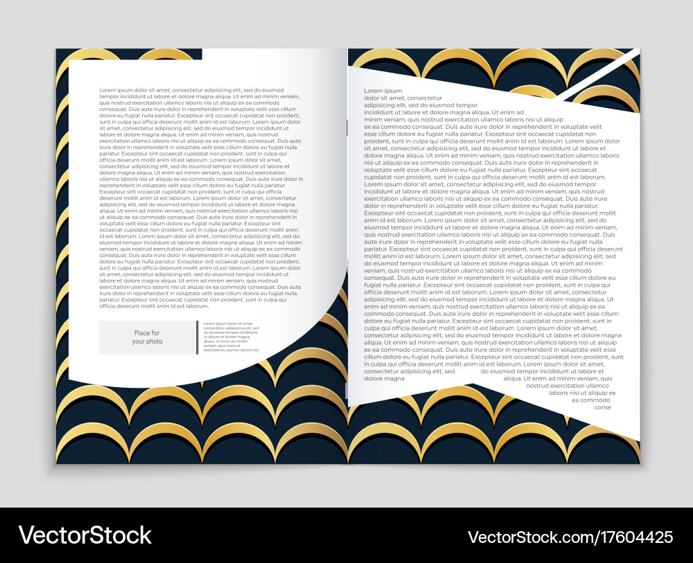 Abstract layout background set for art Vector Image