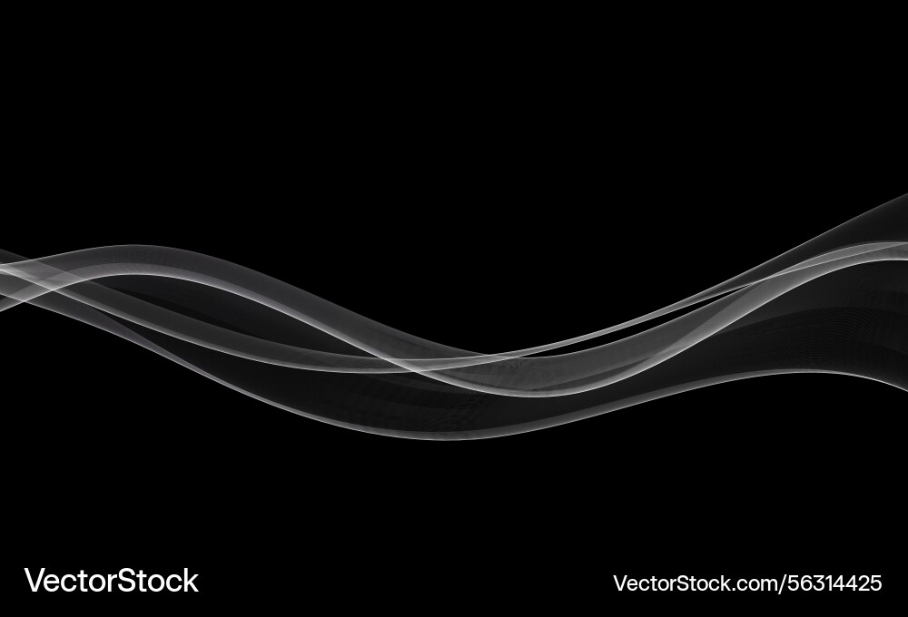 Flow of wavy transparent lines in wave shape vector image