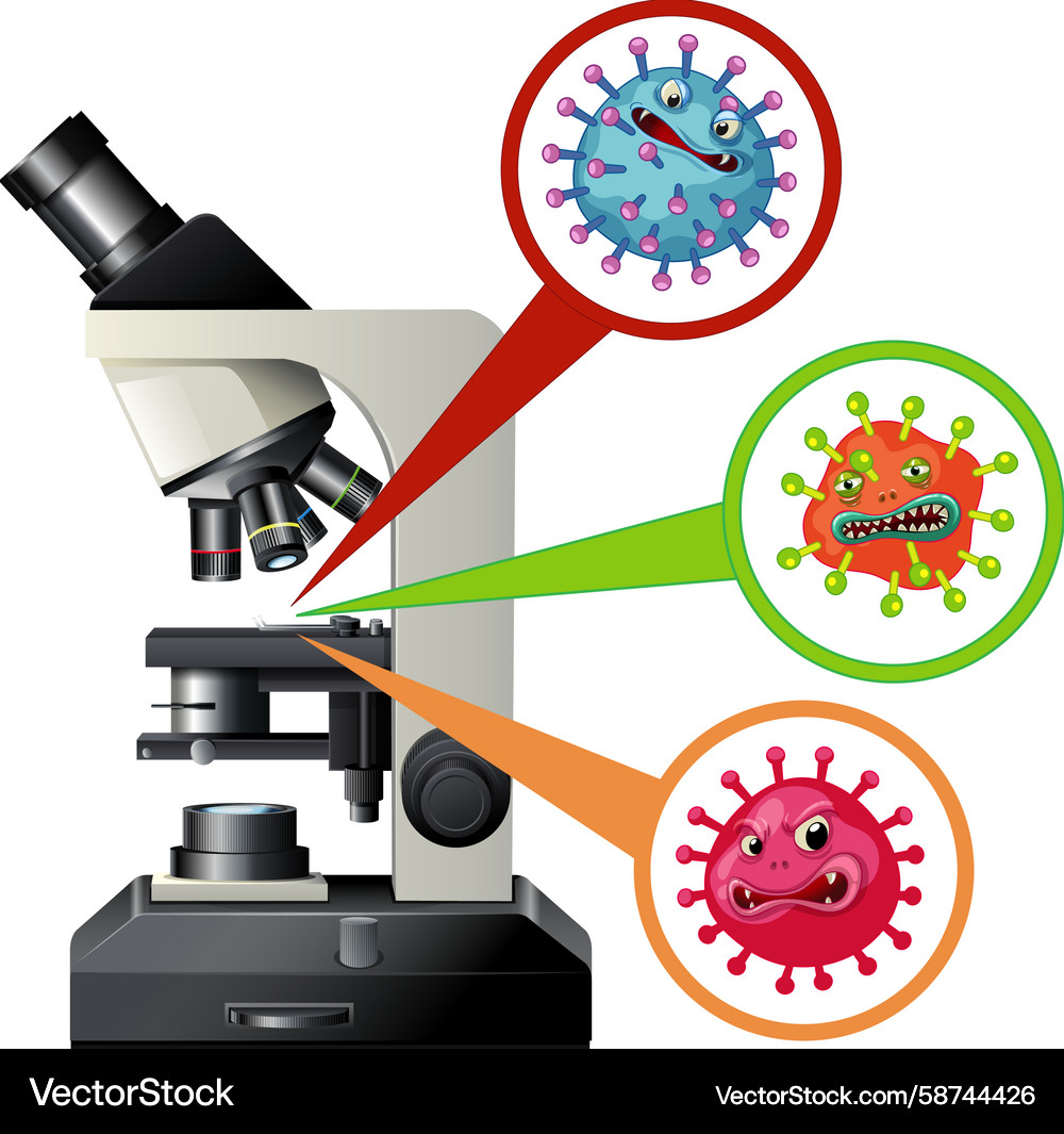A laboratory microscope examining three distinct A laboratory microscope examining three distinct Vector Image