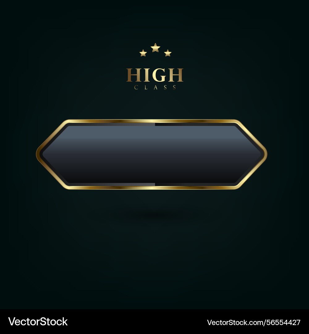 An art deco button isolated on black background Vector Image