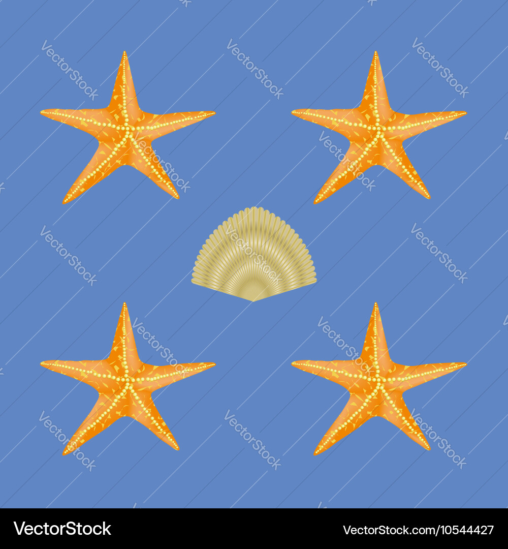 Exotic seashell seamless pattern Vector Image