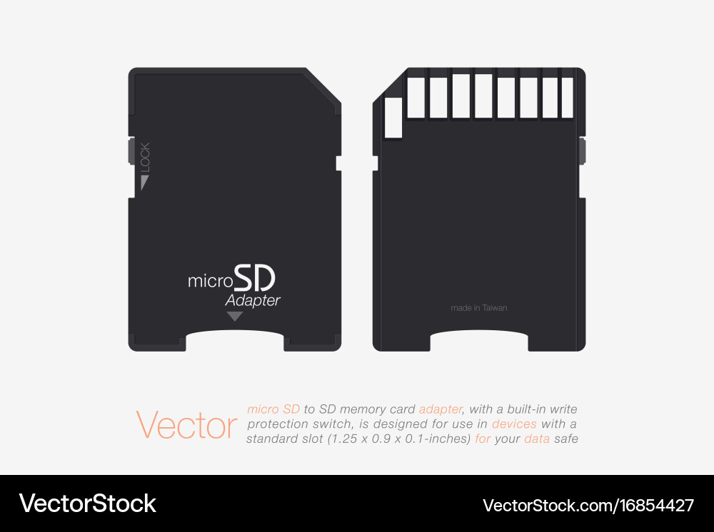 Top view micro sd to memory card adapter vector image