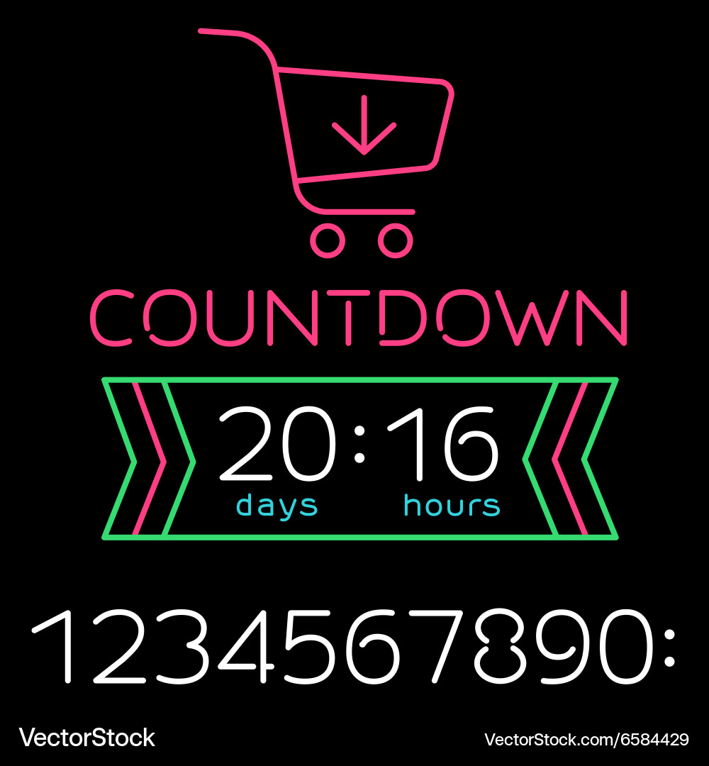 Black Friday Countdown Timer vector image