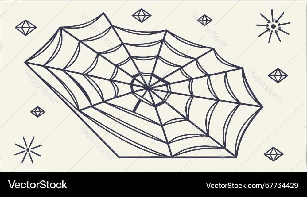 Intricate spider web pattern natural design vector image