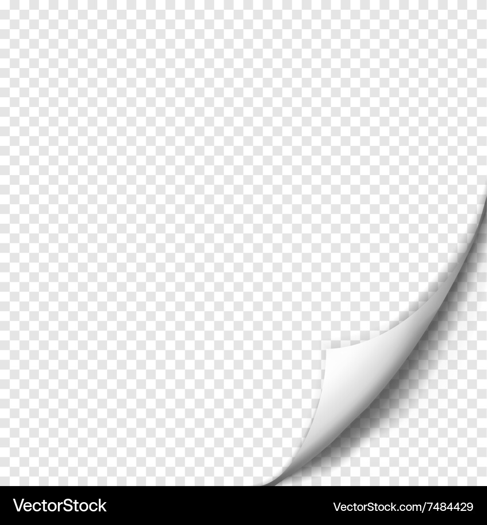 Page curl with shadow on blank sheet of paper vector image
