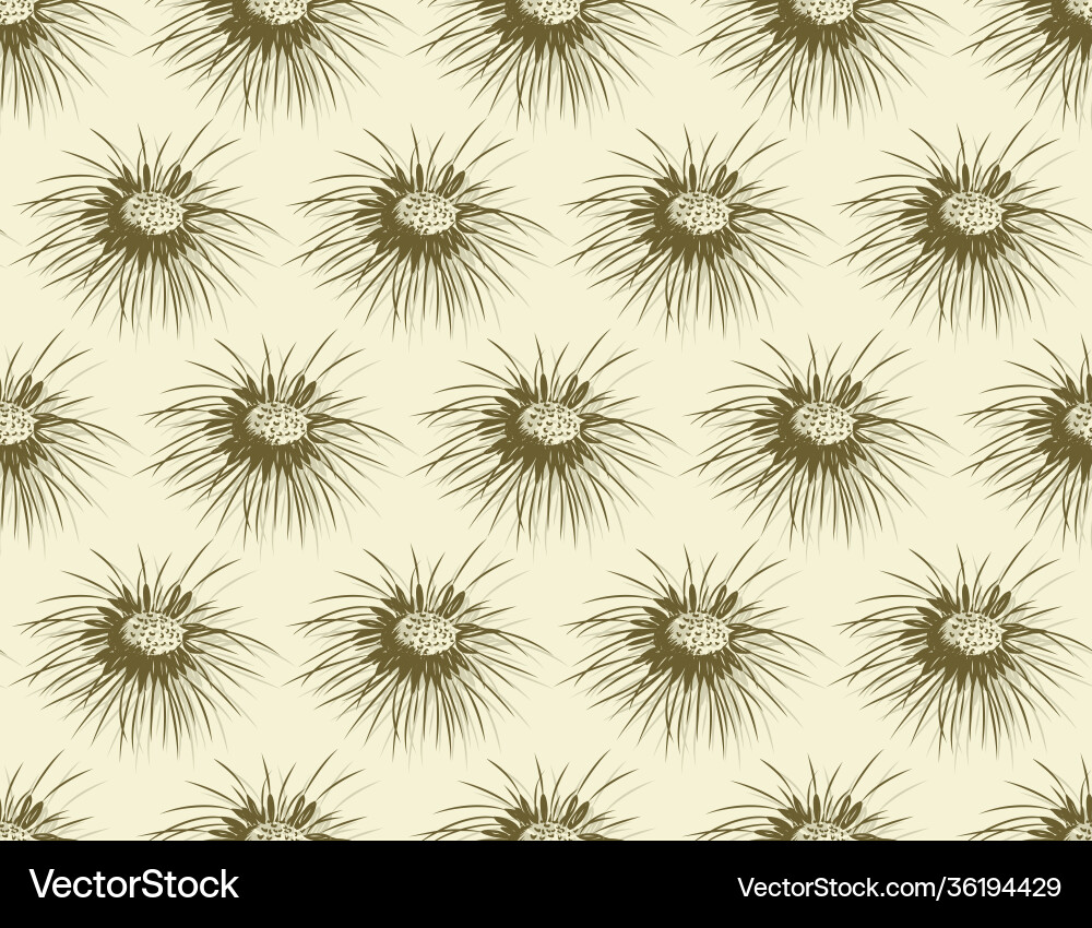 Seamless background with field dandelion vector image