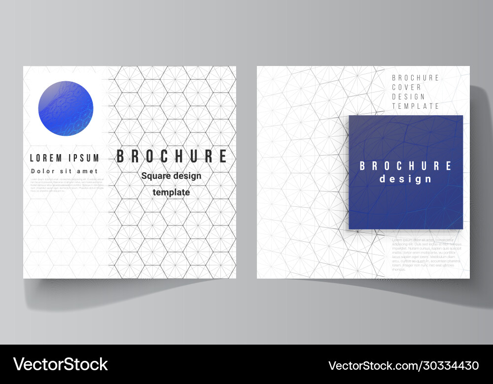 Layout two square format covers design Layout two square format covers design vector image