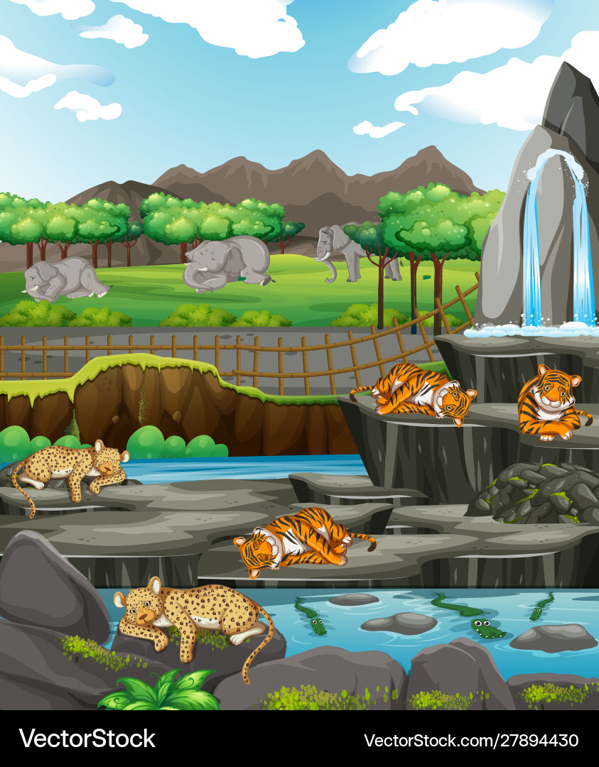Scene with animals at open zoo Scene with animals at open zoo vector image
