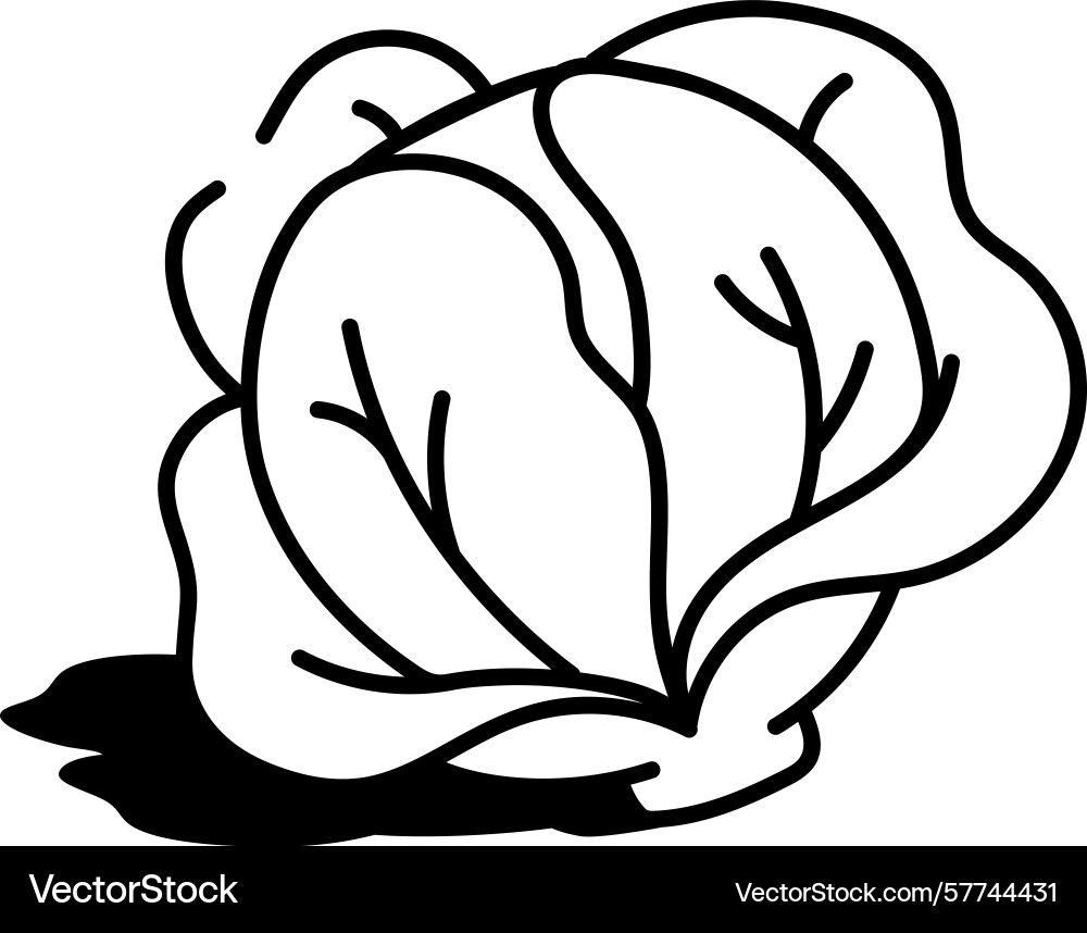 A sketchy style icon representing cabbage Vector Image