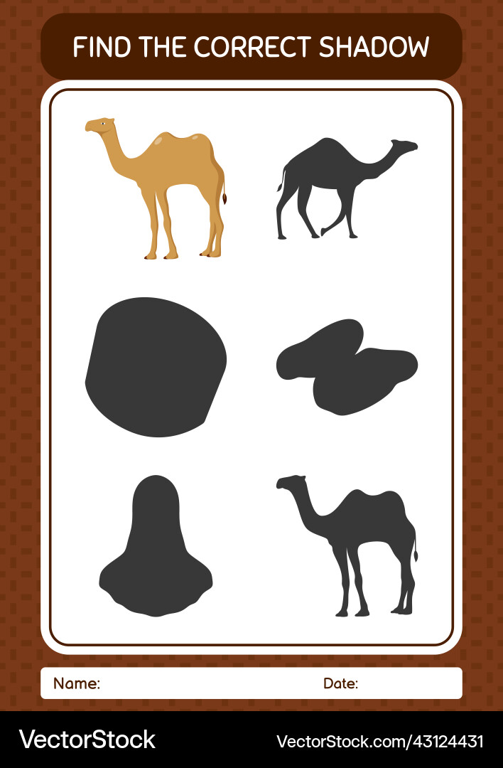 Find the correct shadows game with camel Find the correct shadows game with camel vector image