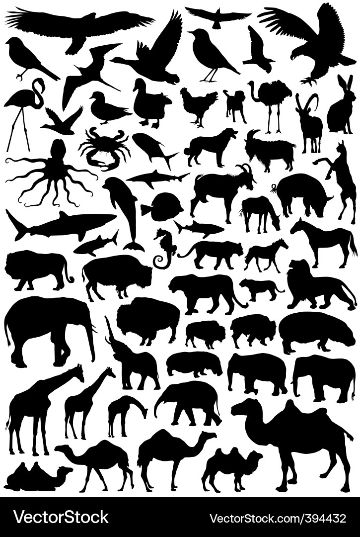 Collection of Animal Silhouettes vector image
