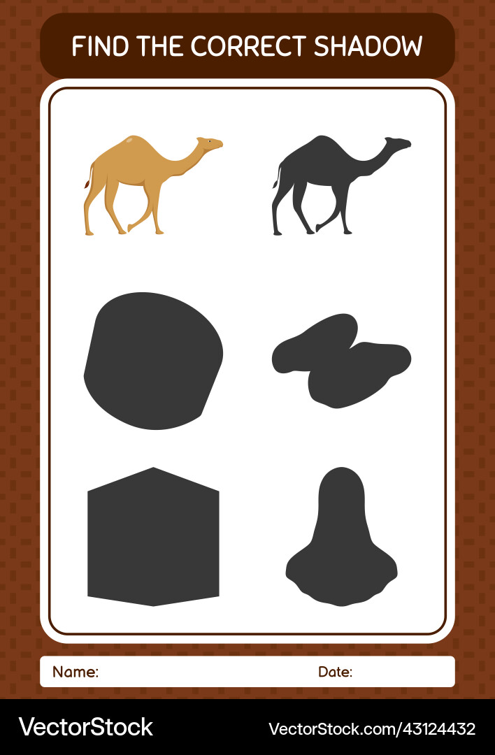 Find the correct shadows game with camel vector image
