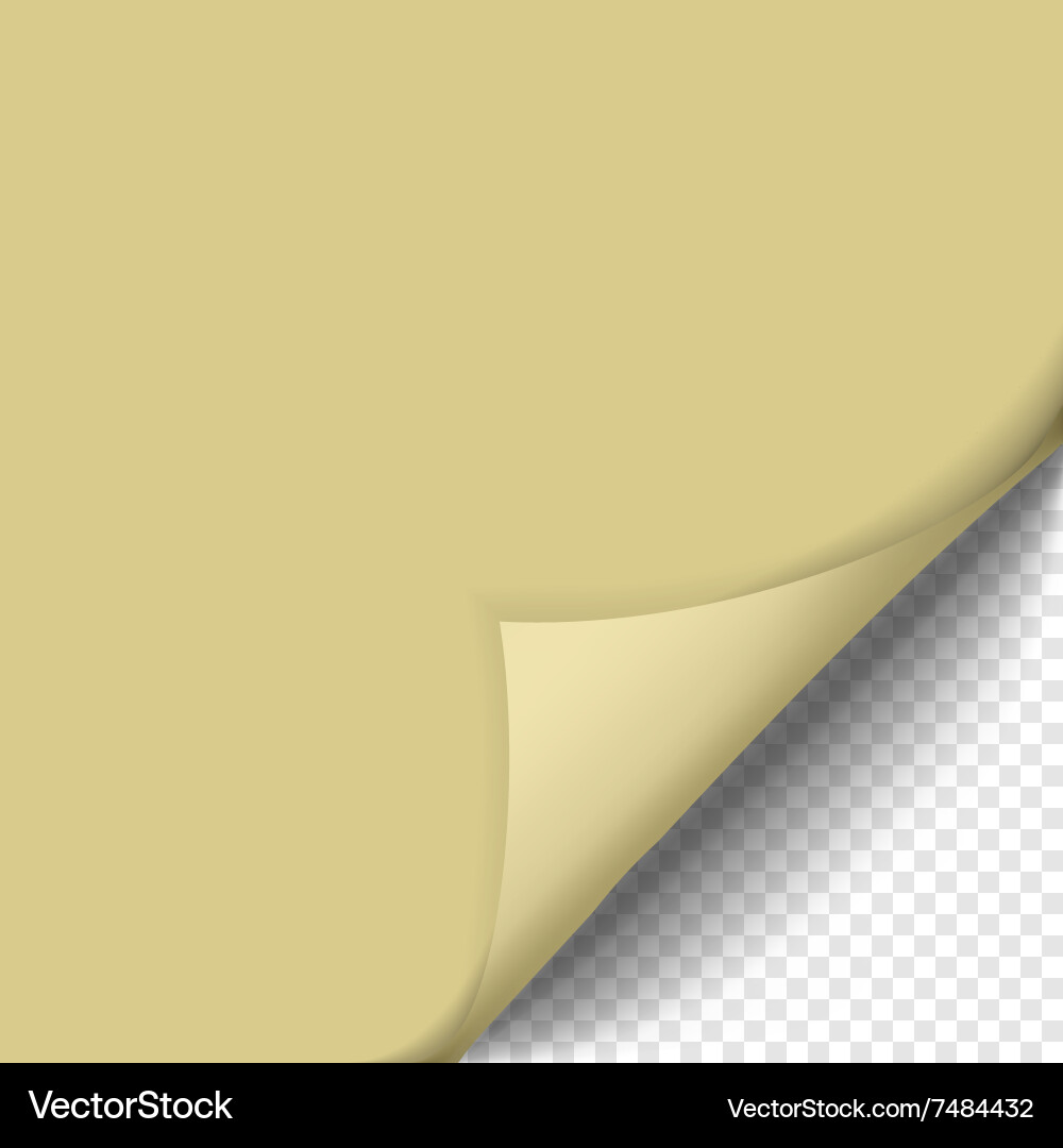 Page curl with shadow on blank sheet of paper Vector Image