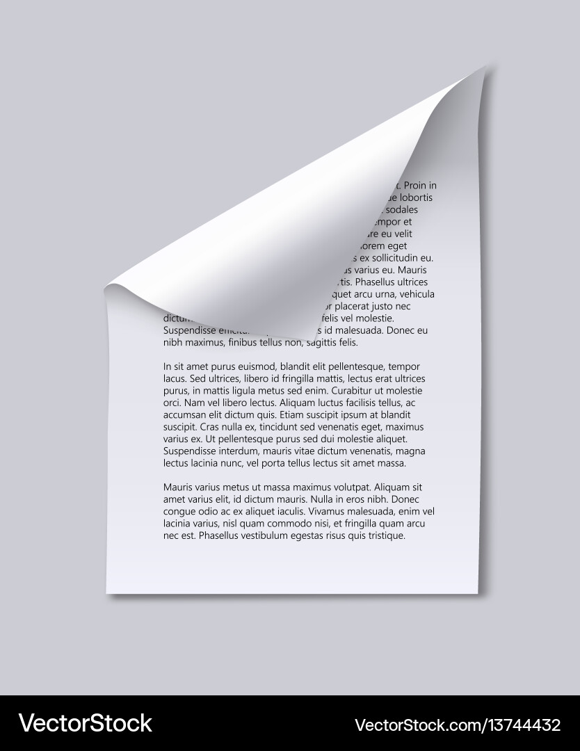 Paper Sheet with Curl & Text vector image
