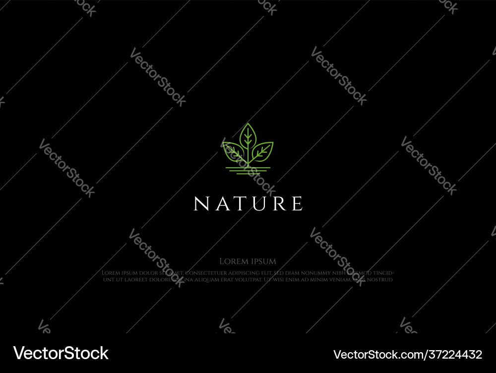 Simple minimalist plant leaf for nature garden Simple minimalist plant leaf for nature garden vector image