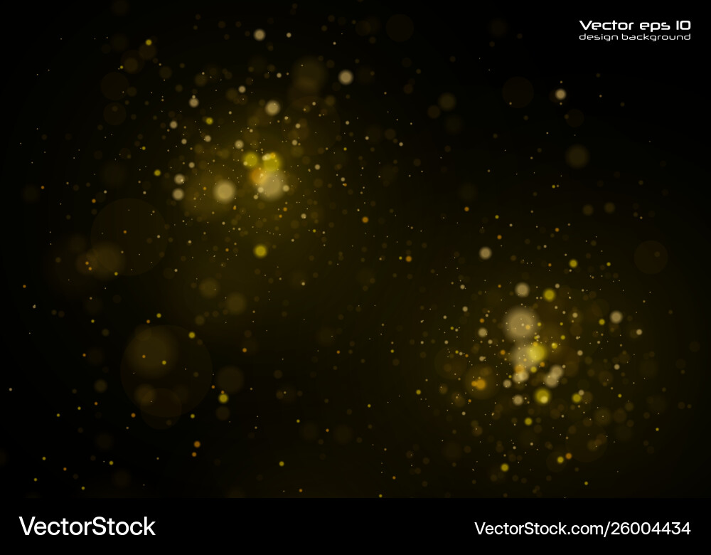 Bokeh effect sparkling vector image