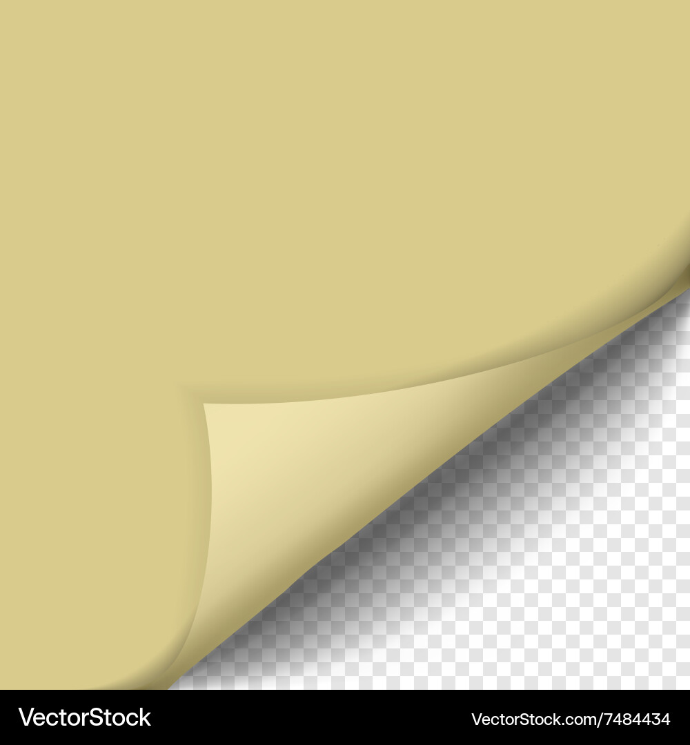 Page curl with shadow on blank sheet of paper Vector Image