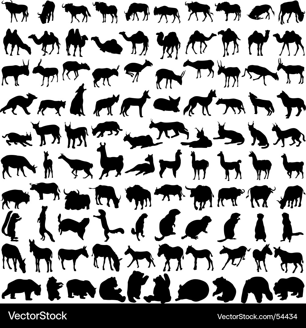 Wild Animal Silhouettes vector image