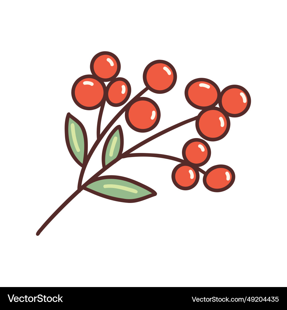 Sprig of red rowan simple Sprig of red rowan simple Vector Image