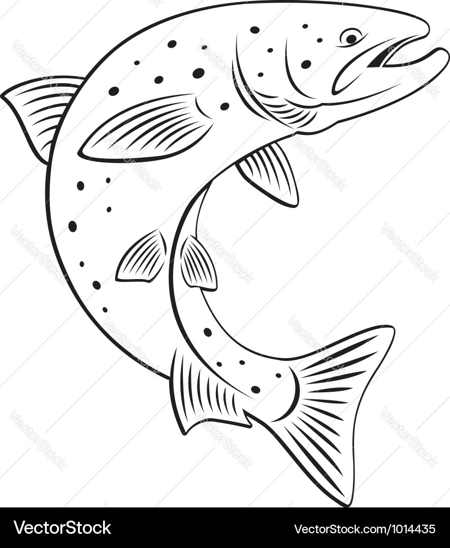 Wild Salmon Swimming Vector Image