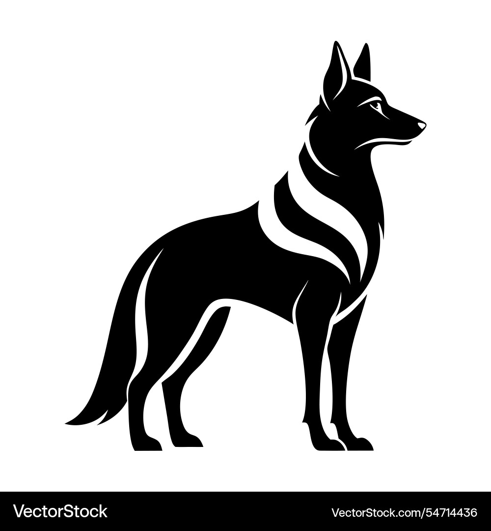 German shepherd silhouette in a standing alert German shepherd silhouette in a standing alert vector image